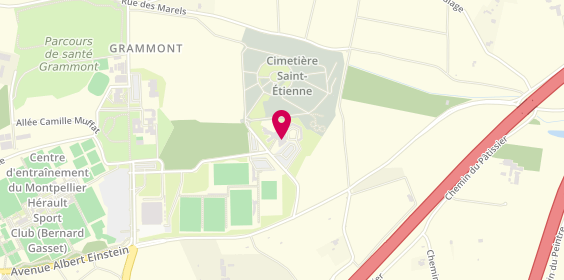 Plan de Sfma - Services Funeraires de l'Agg, Complexe Funéraire de Grammont avenue Albert Einstein, 34000 Montpellier