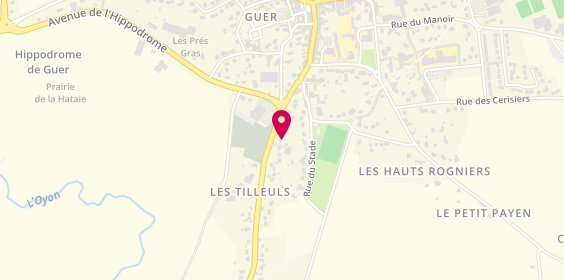 Plan de Thiel Philippe, 9 Bis Rue des Tilleuls, 56380 Guer